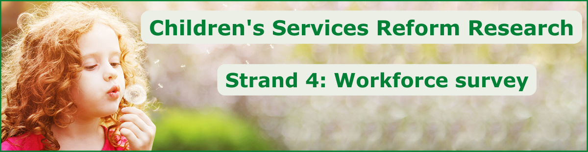 CSRR strand 4 workforce survey